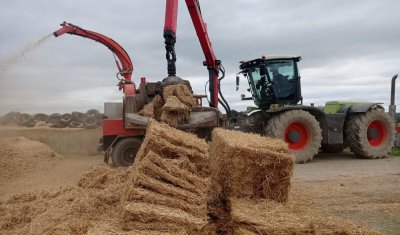 Broyage de paille avec la déchiqueteuse pour l'alimentation de taurillons à Gourgé