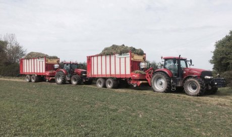 ensilage avec autochargeuse - entreprise de travaux agricoles 79