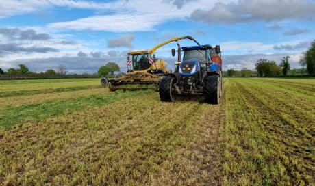 Ensilage d'herbe avec ensileuse - travaux agricoles 79 - SARL MACHETEAU