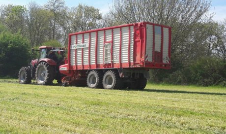 Ensilage avec autochargeuse Poottinger à Vienne