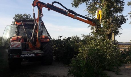 broyage de haie 79 - Elagage de haie 79 - entreprise de travaux agricoles 79 