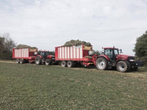 ensilage avec autochargeuse - entreprise de travaux agricoles 79