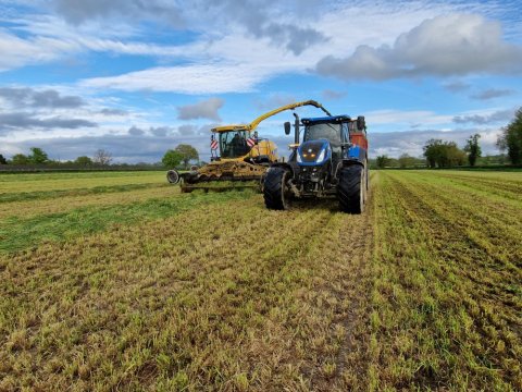 Ensilage d'herbe avec ensileuse - travaux agricoles 79 - SARL MACHETEAU