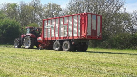 Ensilage avec autochargeuse Poottinger à Vienne