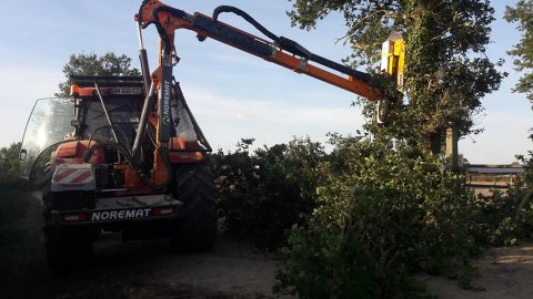 broyage de haie 79 - Elagage de haie 79 - entreprise de travaux agricoles 79 