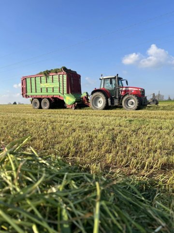 Début des ensilages à Gourgé