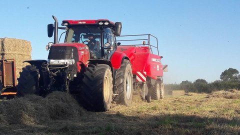 Pressage foin Deux-Sèvres - Sarl Macheteau