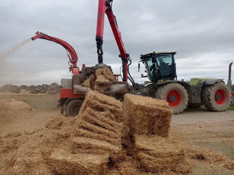 Broyage de paille avec la déchiqueteuse pour l'alimentation de taurillons à Gourgé