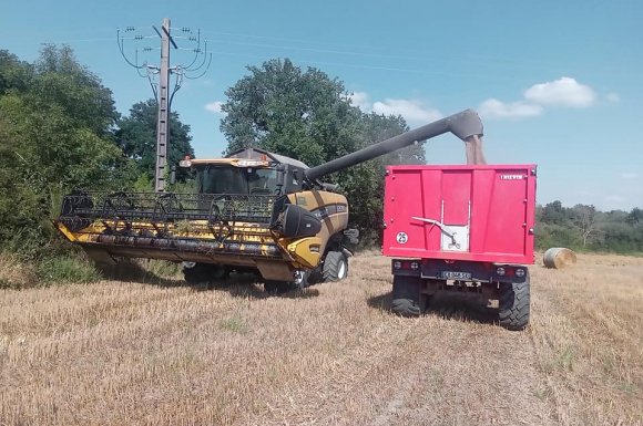 moisson - entreprise de travaux agricoles 79 - Deux-Sèvres 