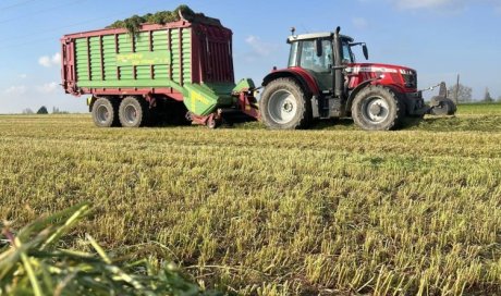 Début des ensilages à Gourgé