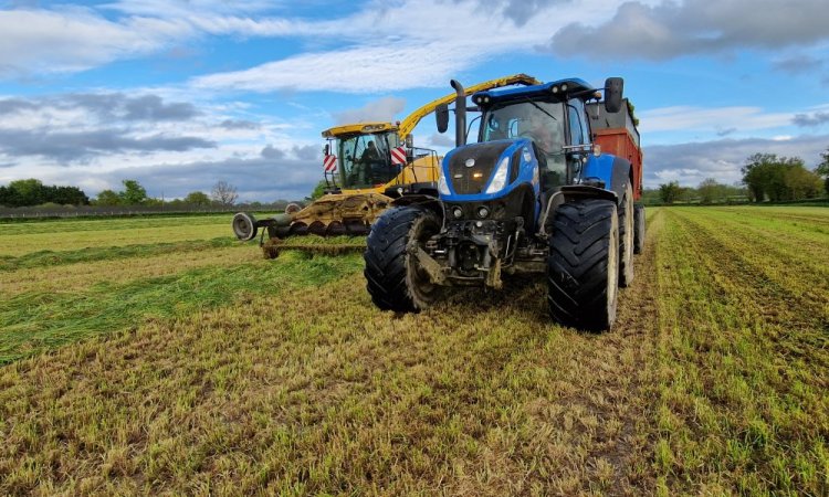 Ensilage d'herbe avec ensileuse - travaux agricoles 79 - SARL MACHETEAU