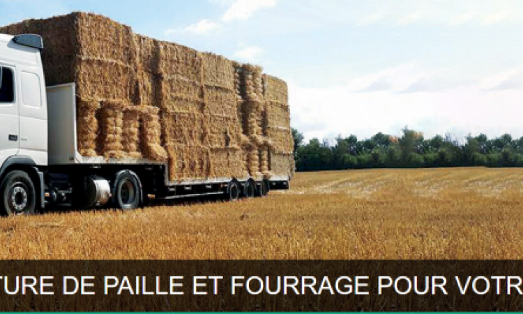 transport de paille et fourrages - entreprise de travaux agricoles 79 - Deux-Sèvres 