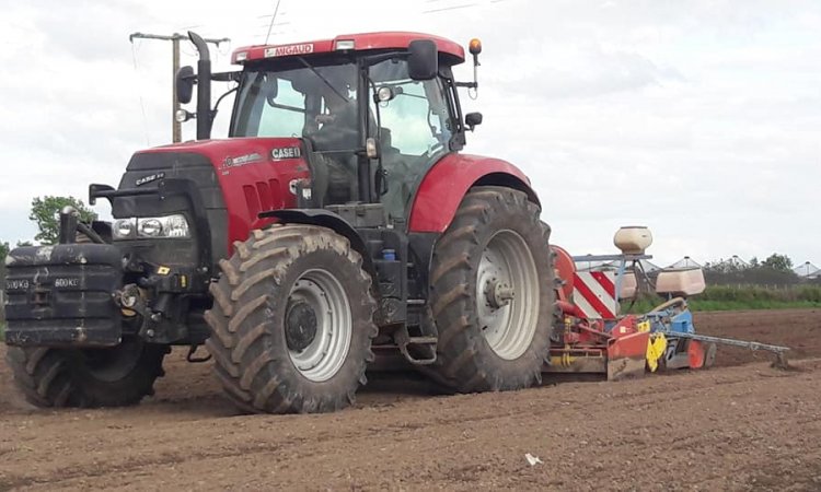 semis maïs - semis tournesol - deux-sèvres - entreprise de travaux agricoles 79 