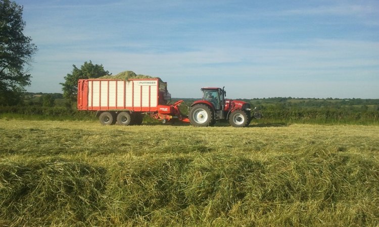 Ensilage avec autochargeuse - département deux-sèvres - entreprise de travaux agricoles 79 